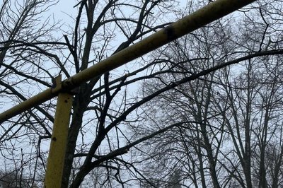 На Харківщині росіяни обстріляли два села: 800 людей залишилися без газу На Харківщині росіяни обстріляли два села: 800 людей залишилися без газу