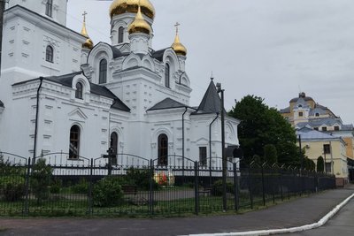 Скелет мамонта у будівлі церкві: як зберігають музейний експонат у Житомирі Скелет мамонта у будівлі церкві: як зберігають музейний експонат у Житомирі