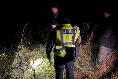 На Житомирщині трьох чоловіків затримали за підозрою в незаконних порубках на території лісництва На Житомирщині трьох чоловіків затримали за підозрою в незаконних порубках на території лісництва