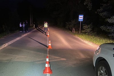 ДТП із травмуванням 11-річної дитини в Житомирі: поліція розшукала водія ДТП із травмуванням 11-річної дитини в Житомирі: поліція розшукала водія