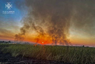 В Одесі згоріло 1000 м² очерету