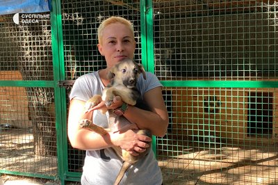 В Одесі родина забрала з притулку цуценя, яке перед загибеллю врятував військовий В Одесі родина забрала з притулку цуценя, яке перед загибеллю врятував військовий