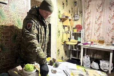 Підірвав та кинув гранату на подвір'я сусіда — на Житомирщині підозрюють місцевого жителя Підірвав та кинув гранату на подвір'я сусіда — на Житомирщині підозрюють місцевого жителя