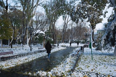 Міський сад Одеси Міський сад Одеси