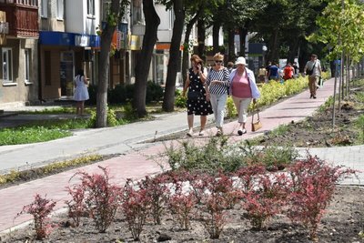 На Волі у Луцьку висадять чотири тисячі кущів
