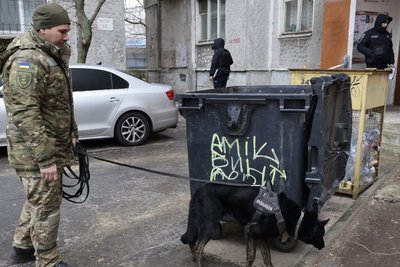 Правоохоронці працюють на місці, де місцева жителька знайшла новонароджену дитину Правоохоронці працюють на місці, де місцева жителька знайшла новонароджену дитину