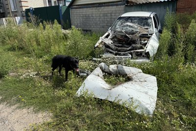 Територія активних бойових дій: Хотінська громада хоче змінити статус