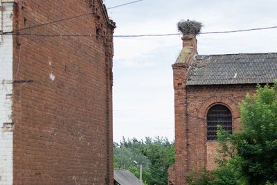 Гніздові пари білих лелек у Харківській області