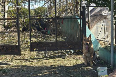 «Собаку вбило одну, а двоє вижило»: на Одещині РФ зруйнувала будинок жінки «Собаку вбило одну, а двоє вижило»: на Одещині РФ зруйнувала будинок жінки