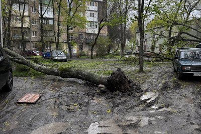 Щонайменше 30 дерев впали у Харкові через негоду 26 квітня: фото наслідків Щонайменше 30 дерев впали у Харкові через негоду 26 квітня: фото наслідків