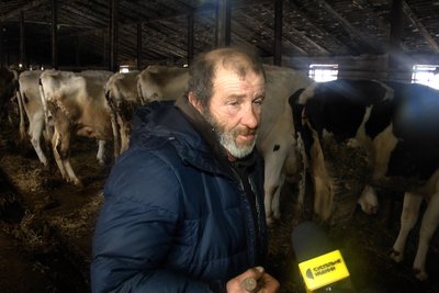 Ситуація на держпідприємстві "Рихальське" на Житомирщині: місцеві жителі розповіли, що тварини продовжують голодувати Ситуація на держпідприємстві "Рихальське" на Житомирщині: місцеві жителі розповіли, що тварини продовжують голодувати