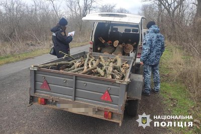 На Одещині судили чоловіка за вирубку дерев з нацпарку "Тузлівські лимани" На Одещині судили чоловіка за вирубку дерев з нацпарку "Тузлівські лимани"