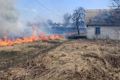 Під час пожежі сухої рослинності на Житомирщині травмувався чоловік Під час пожежі сухої рослинності на Житомирщині травмувався чоловік