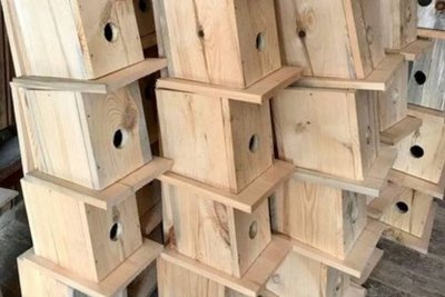 Нові "домівки" для птахів: у Києві розвішують шпаківні Нові "домівки" для птахів: у Києві розвішують шпаківні