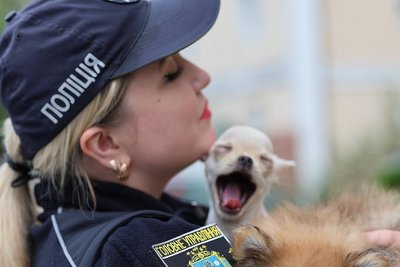 У Миколаєві поліцейські прихистили двох покинутих цуценят У Миколаєві поліцейські прихистили двох покинутих цуценят