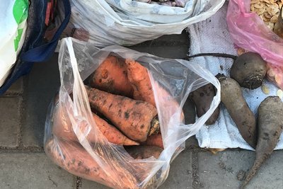 На ринку Житомира дорожчає морква — які причини та чого очікувати