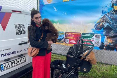Всеукраїнська виставка собак у Житомирі: до участі зареєстрували близько 70 порід собак Всеукраїнська виставка собак у Житомирі: до участі зареєстрували близько 70 порід собак