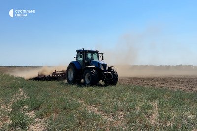На Одещині зібрали врожай з органічних кавунів, персиків та соняшнику На Одещині зібрали врожай з органічних кавунів, персиків та соняшнику
