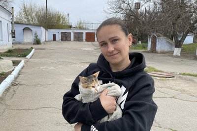 Безплатна стерилізація: у Новій Одесі прооперували безпритульних та безпородних тварин Безплатна стерилізація: у Новій Одесі прооперували безпритульних та безпородних тварин