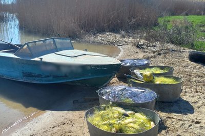 Збитки понад 1,2 млн грн: на Дністровському лимані викрили незаконний вилов риби Збитки понад 1,2 млн грн: на Дністровському лимані викрили незаконний вилов риби