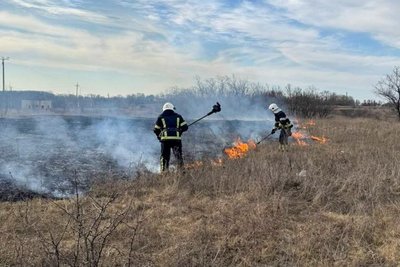 Пожежа в екосистемі Пожежа в екосистемі
