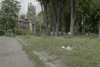 Армія РФ завдала удару по Сумах: у 7-річного хлопчика та його мами гостра реакція на стрес