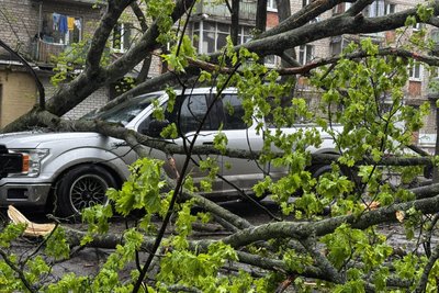 Щонайменше 30 дерев впали у Харкові через негоду 26 квітня: фото наслідків Щонайменше 30 дерев впали у Харкові через негоду 26 квітня: фото наслідків