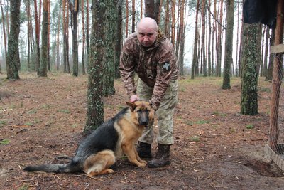 Попереджає про ДРГ: тероборонівці з Волині на схід взяли із собою вівчарку "Пулю" Попереджає про ДРГ: тероборонівці з Волині на схід взяли із собою вівчарку "Пулю"