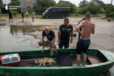 Зооволонтери рятують тварин у підтоплених районах Херсона, 7 червня 2023 року