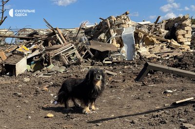 «Собаку вбило одну, а двоє вижило»: на Одещині РФ зруйнувала будинок жінки «Собаку вбило одну, а двоє вижило»: на Одещині РФ зруйнувала будинок жінки