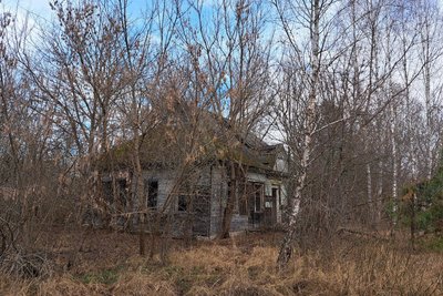 За 10 кілометрів до межі із Білоруссю: як живе село у прикордонній громаді на Житомирщині За 10 кілометрів до межі із Білоруссю: як живе село у прикордонній громаді на Житомирщині