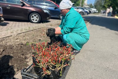 “Квітни. Допомагай. Перемагай!”: у Вінниці в рамках акції висадили майже три тисячі троянд “Квітни. Допомагай. Перемагай!”: у Вінниці в рамках акції висадили майже три тисячі троянд