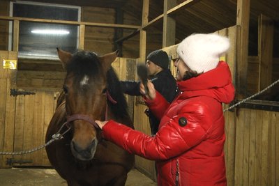 "Коні заспокоюють мене і сина", — переселенка з Краматорська Яна Стропіль "Коні заспокоюють мене і сина", — переселенка з Краматорська Яна Стропіль