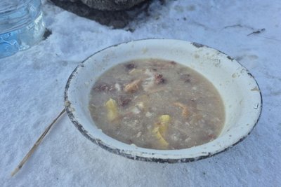 На Сумщині тривають морози: як врятувати вуличних тварин і птахів від переохолодження На Сумщині тривають морози: як врятувати вуличних тварин і птахів від переохолодження