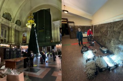 Ялинки незламності: де встановили головний символ різдвяно-новорічних свят Ялинки незламності: де встановили головний символ різдвяно-новорічних свят