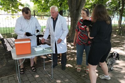 У Луцьку безплатно вакцинували від сказу У Луцьку безплатно вакцинували від сказу