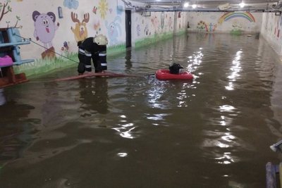Чотири десятки повалених дерев і підтоплені будинки: наслідки негоди на Житомирщині Чотири десятки повалених дерев і підтоплені будинки: наслідки негоди на Житомирщині