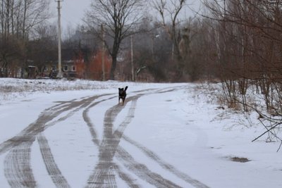Чому в селі на Житомирщині не перейменовують вулицю — аргументи місцевих та позиція істориків Чому в селі на Житомирщині не перейменовують вулицю — аргументи місцевих та позиція істориків