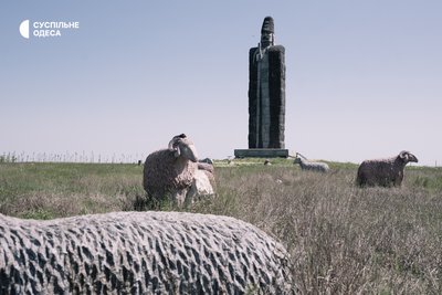 фрумушика-нова