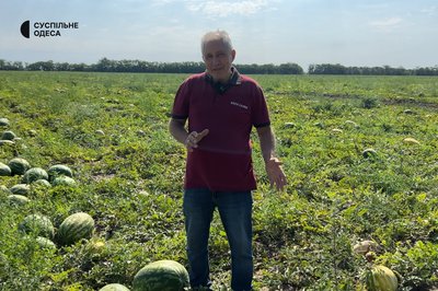 На Одещині зібрали врожай з органічних кавунів, персиків та соняшнику На Одещині зібрали врожай з органічних кавунів, персиків та соняшнику