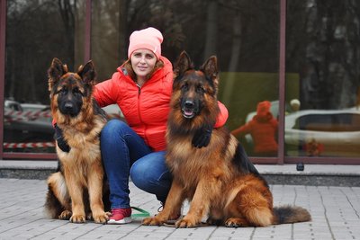 "Вдома в Одесі": як переселенка з Херсона відновила кінологічний центр