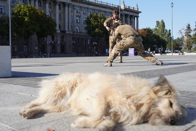 Сотні тисяч переглядів: бійці 123 бригади «Код Оріона» знімають ролики для цивільних Сотні тисяч переглядів: бійці 123 бригади «Код Оріона» знімають ролики для цивільних