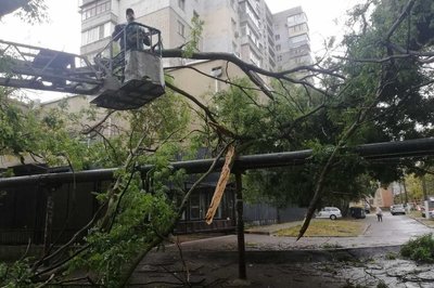 Повалені дерева в Одесі