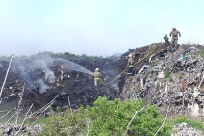 Пожежа на міському сміттєзвалищі у Житомирі — яка ситуація наразі Пожежа на міському сміттєзвалищі у Житомирі — яка ситуація наразі