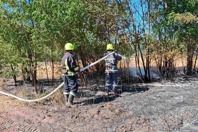 Дим та сморід у Житомирі: яка причина та чому рятувальники б'ють на сполох Дим та сморід у Житомирі: яка причина та чому рятувальники б'ють на сполох