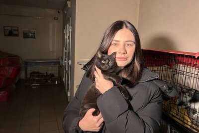 Врятували з-під обстрілів — у Житомирський центр захисту тварин привезли 12 тварин із Донеччини Врятували з-під обстрілів — у Житомирський центр захисту тварин привезли 12 тварин із Донеччини