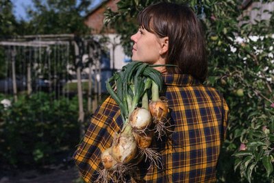Як зберігати цибулю та часник, щоб вони не псувалися і не проростали — рекомендації городниці Як зберігати цибулю та часник, щоб вони не псувалися і не проростали — рекомендації городниці