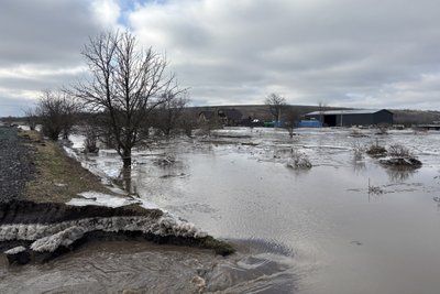 "Вода піднялася вище пояса": наслідки повені на Миколаївщині "Вода піднялася вище пояса": наслідки повені на Миколаївщині