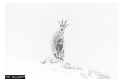 фотографії фотографії