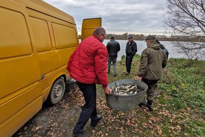 Водосховище на Волині зарибнили кором і білим амуром за кошти місцевого бюджету Водосховище на Волині зарибнили кором і білим амуром за кошти місцевого бюджету